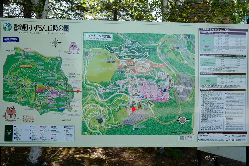 ▌北海道親子景點▌札幌近郊的親子景點❤️瀧野鈴蘭公園