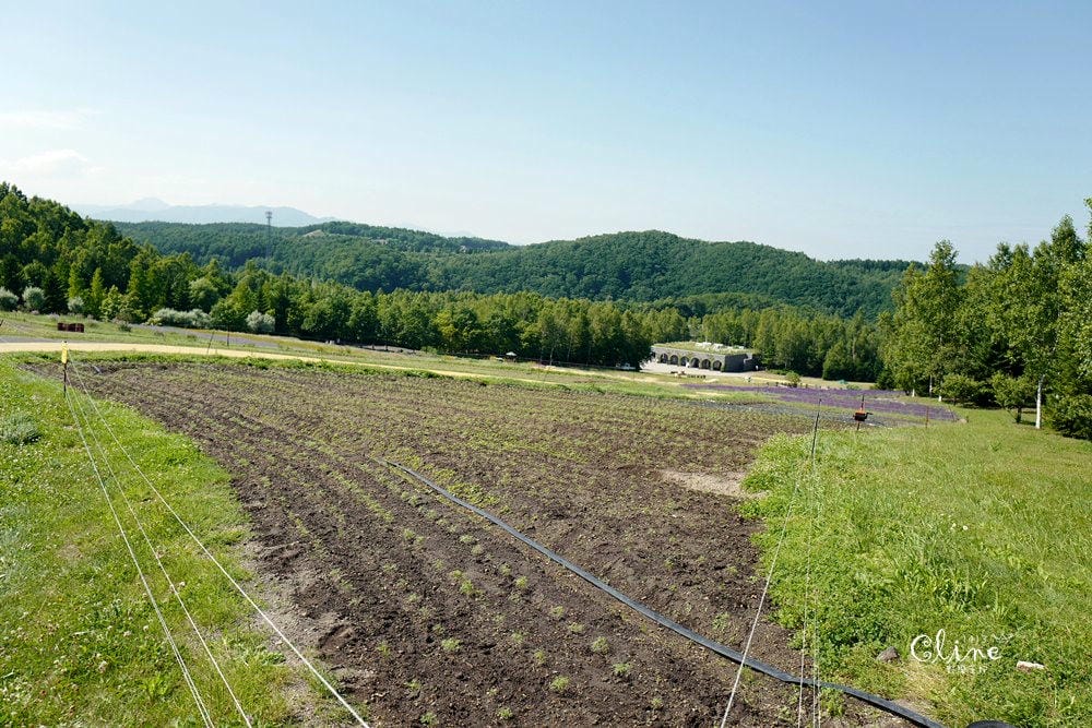 ▌北海道親子景點▌札幌近郊的親子景點❤️瀧野鈴蘭公園