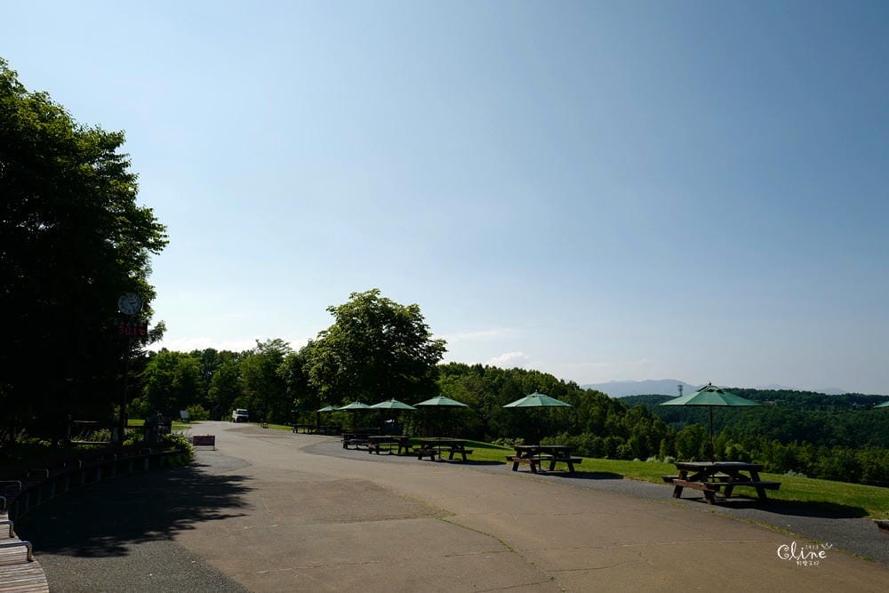 ▌北海道親子景點▌札幌近郊的親子景點❤️瀧野鈴蘭公園