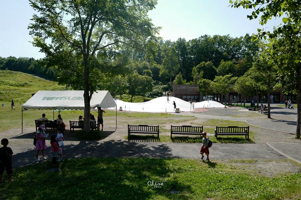 ▌北海道親子景點▌札幌近郊的親子景點❤️瀧野鈴蘭公園