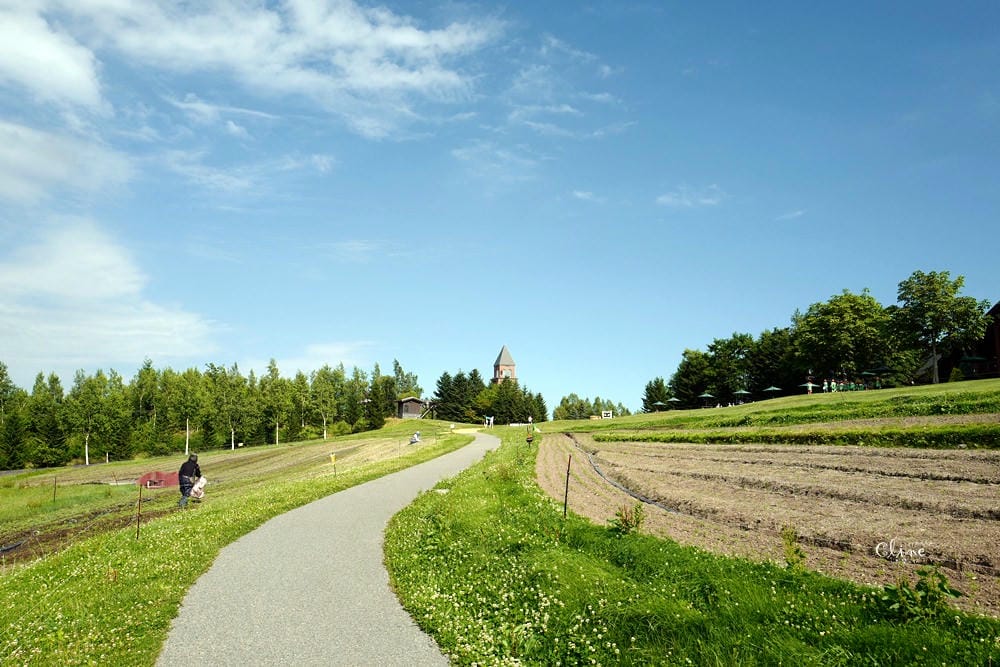 ▌北海道親子景點▌札幌近郊的親子景點❤️瀧野鈴蘭公園