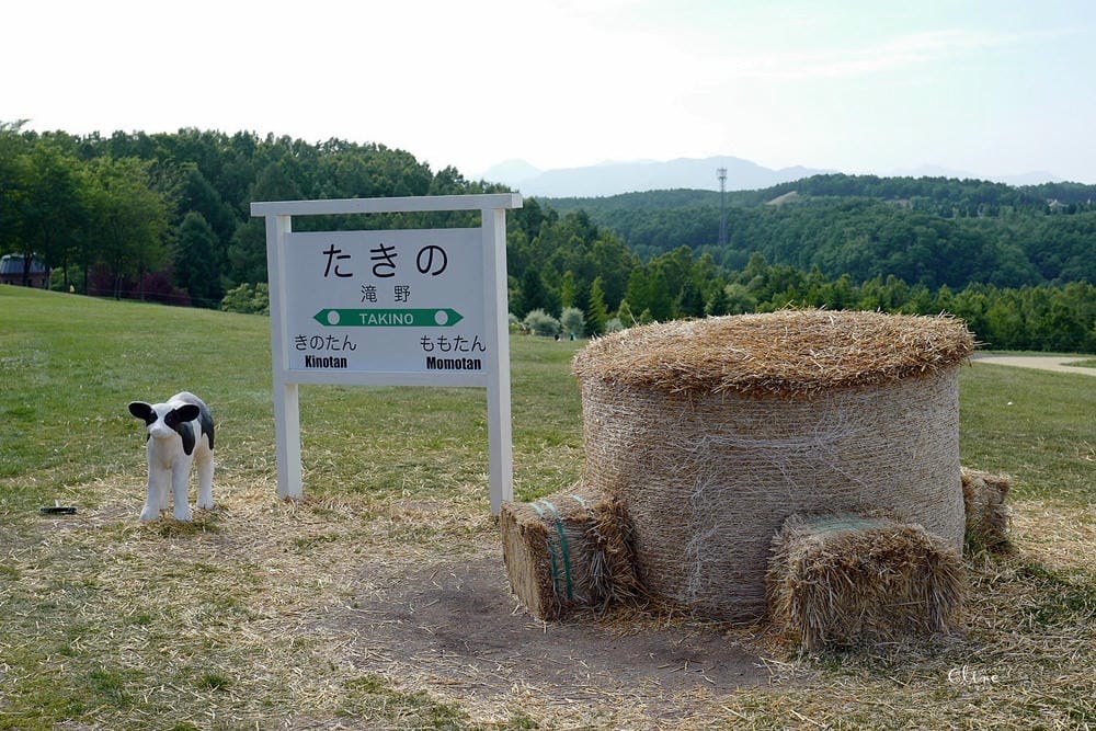 ▌北海道親子景點▌札幌近郊的親子景點❤️瀧野鈴蘭公園