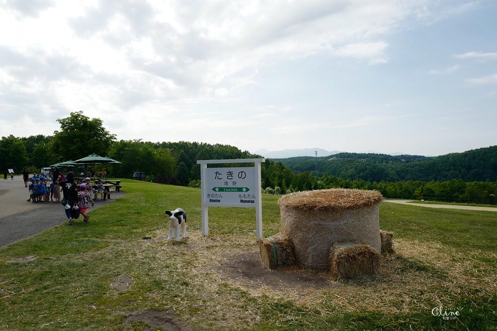 ▌北海道親子景點▌札幌近郊的親子景點❤️瀧野鈴蘭公園