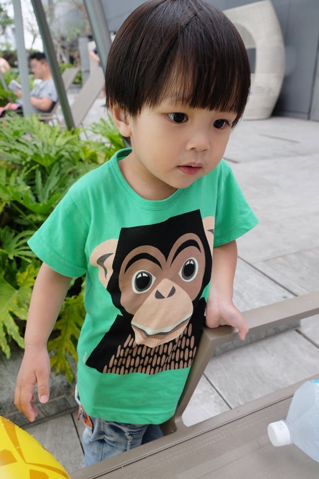 ▌2019春夏新款 ▌每一款都想要【 法國有機棉COQ EN PÂTE 】超萌動物們 x 外出旅行必備收納好物+野餐盒