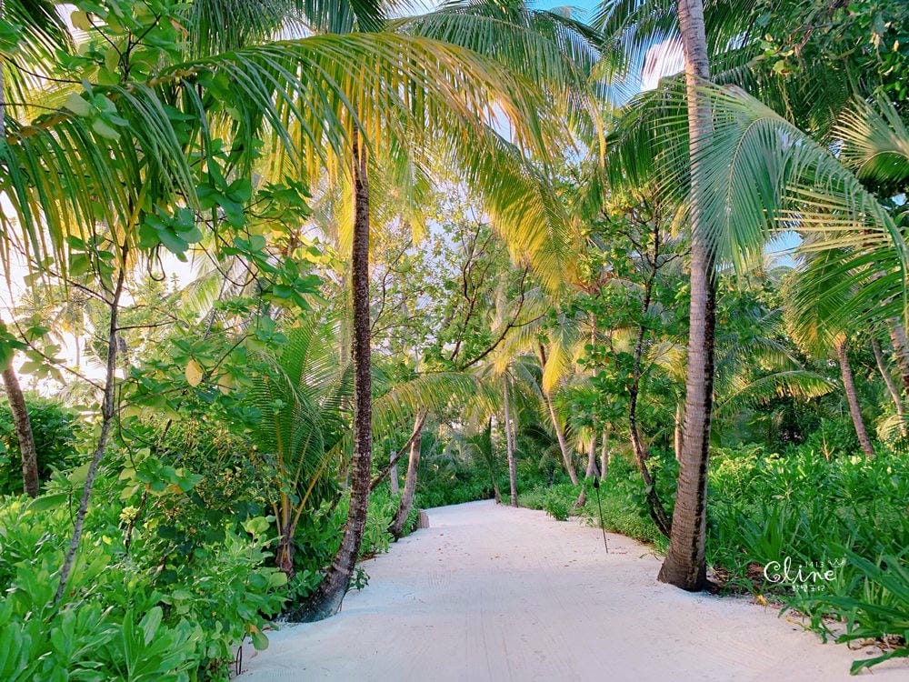 【馬爾地夫洲際渡假村InterContinental Maldives】浪漫沙灘屋開箱