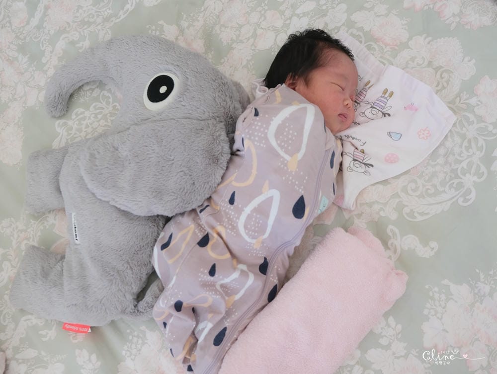 ▌團購▌讓寶寶提早睡過夜的睡眠包巾♥澳洲ergoPouch二合一舒眠包巾♥王妃獨家花色貝殼粉