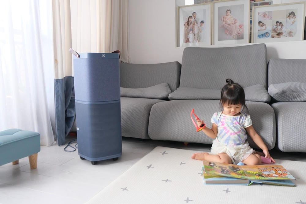 ▎團購▎百年瑞典家電品牌【Electrolux 伊萊克斯】嚴選家電團(空氣清淨機+掛燙機+吸塵器)超值滿額禮 !
