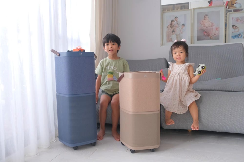 ▎團購▎百年瑞典家電品牌【Electrolux 伊萊克斯】嚴選家電團(空氣清淨機+掛燙機+吸塵器)超值滿額禮 !