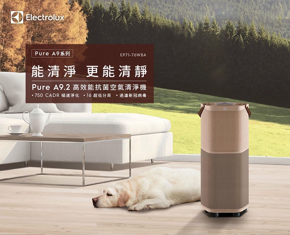 ▎團購▎百年瑞典家電品牌【Electrolux 伊萊克斯】嚴選家電團(空氣清淨機+掛燙機+吸塵器)超值滿額禮 !