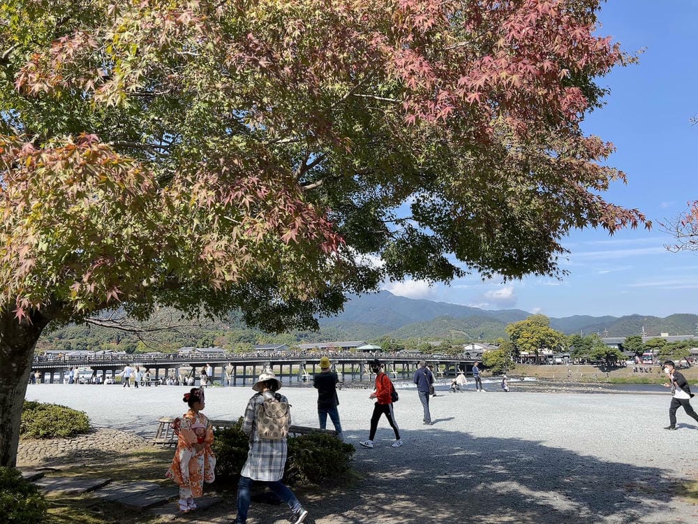 ▌京都大阪自由行 ▌日本環球影城瑪利歐樂園。關西自由行行程分享