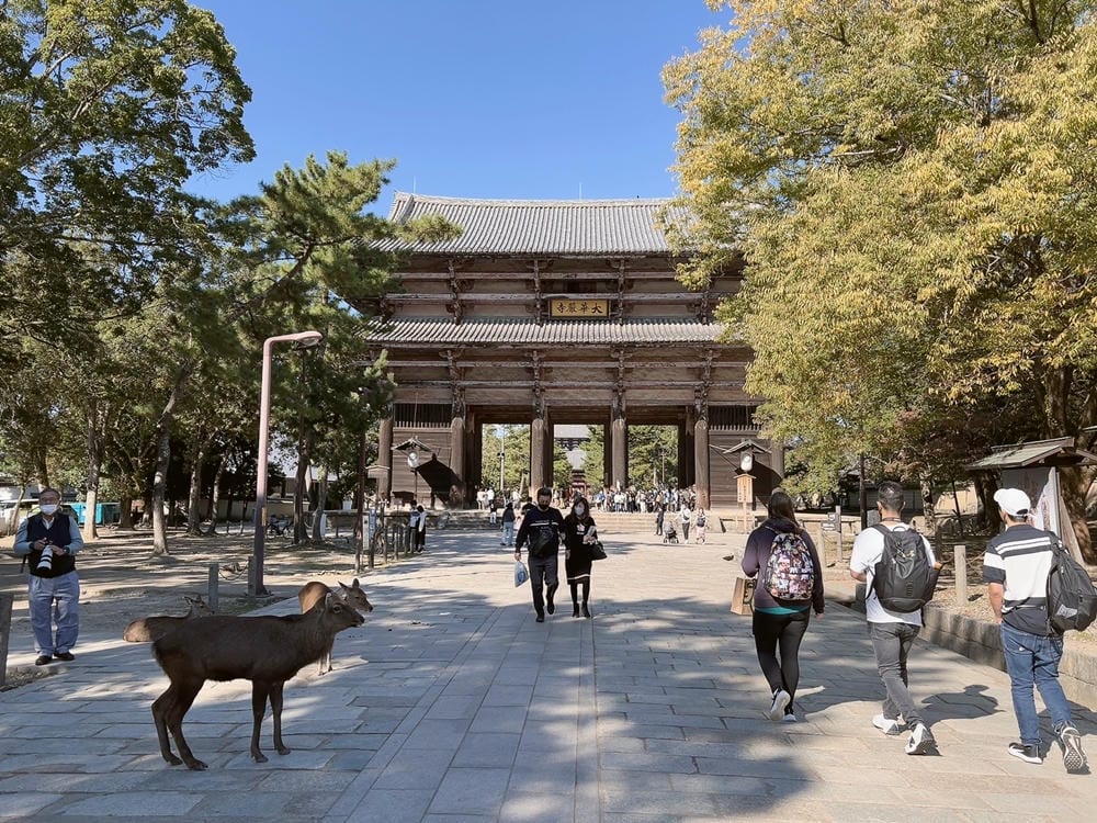 ▌京都大阪自由行 ▌日本環球影城瑪利歐樂園。關西自由行行程分享