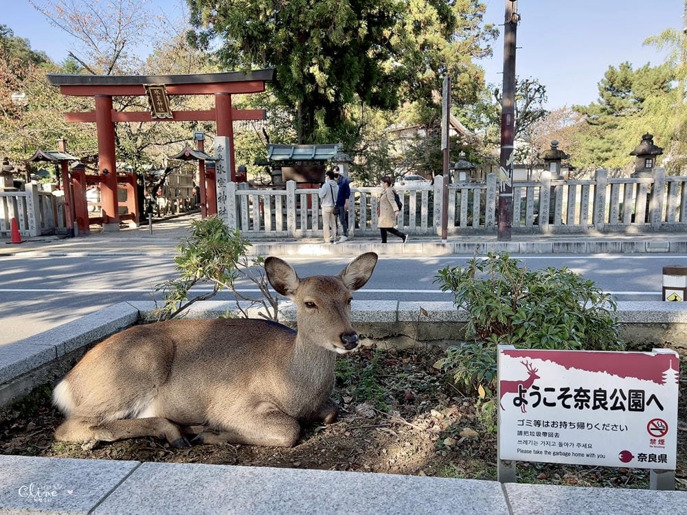 ▌京都大阪自由行 ▌日本環球影城瑪利歐樂園。關西自由行行程分享