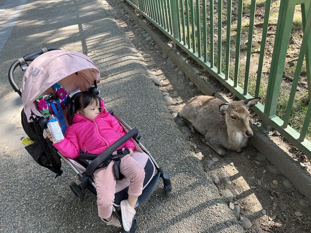 ▌京都大阪自由行 ▌日本環球影城瑪利歐樂園。關西自由行行程分享