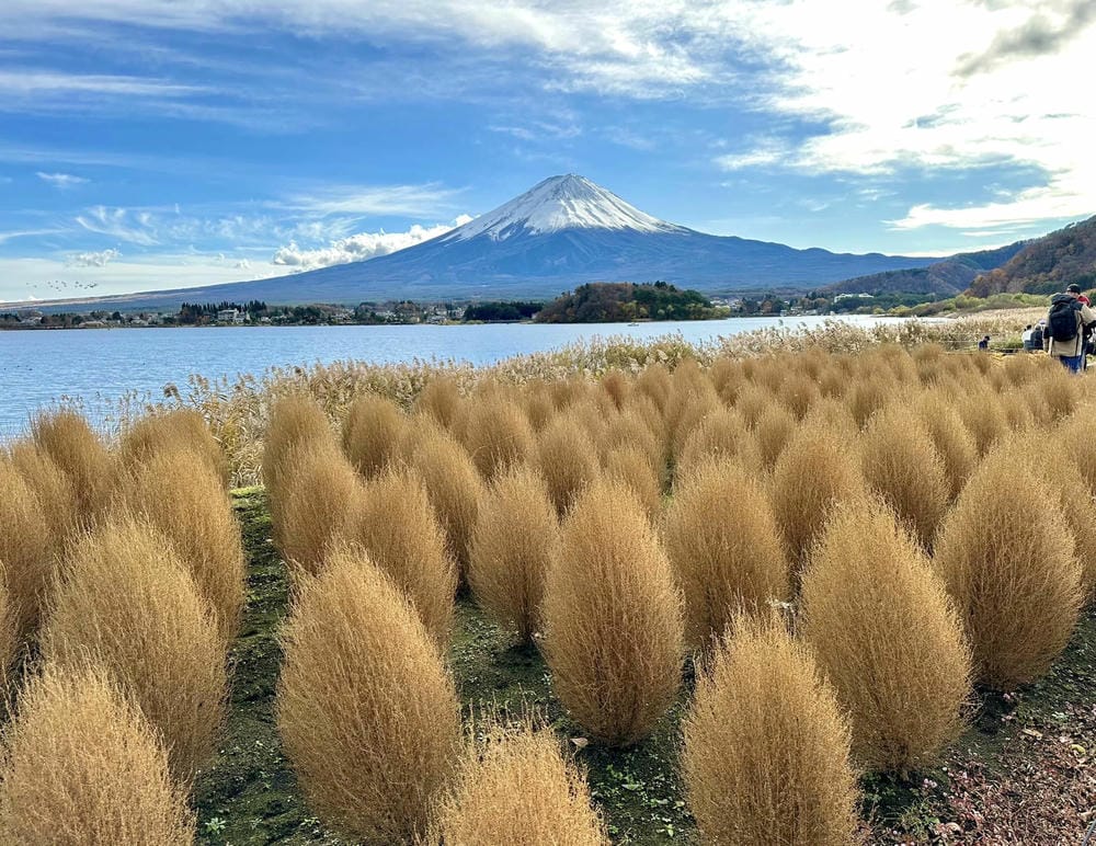 ▏河口湖景點▏富士山河口湖必訪景點及住宿分享