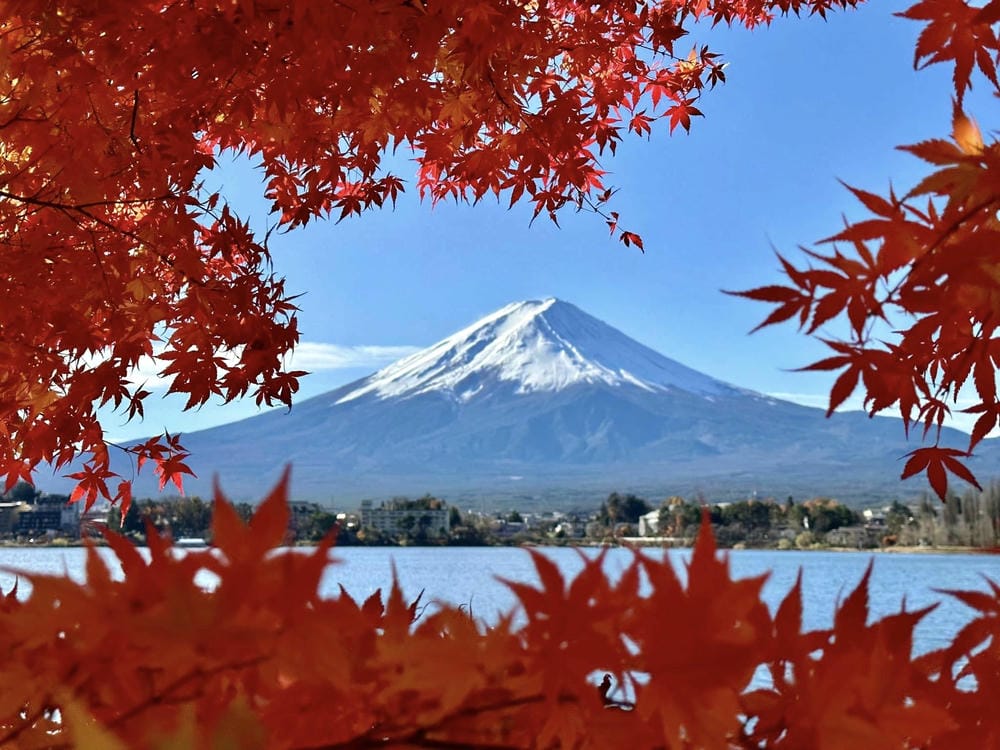 ▏河口湖景點▏富士山河口湖必訪景點及住宿分享