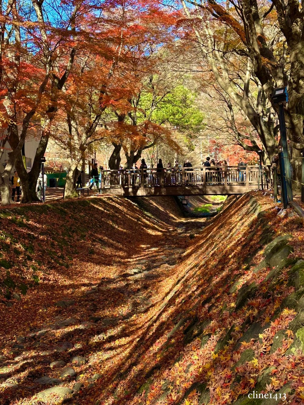 ▏河口湖景點▏富士山河口湖必訪景點及住宿分享