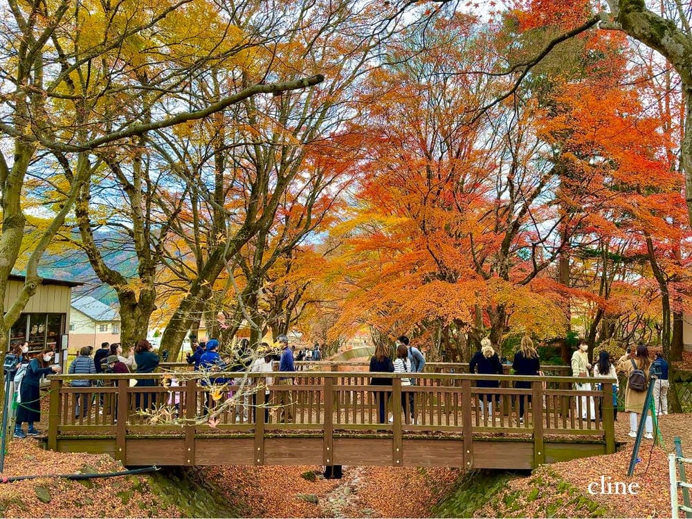 ▏河口湖景點▏富士山河口湖必訪景點及住宿分享