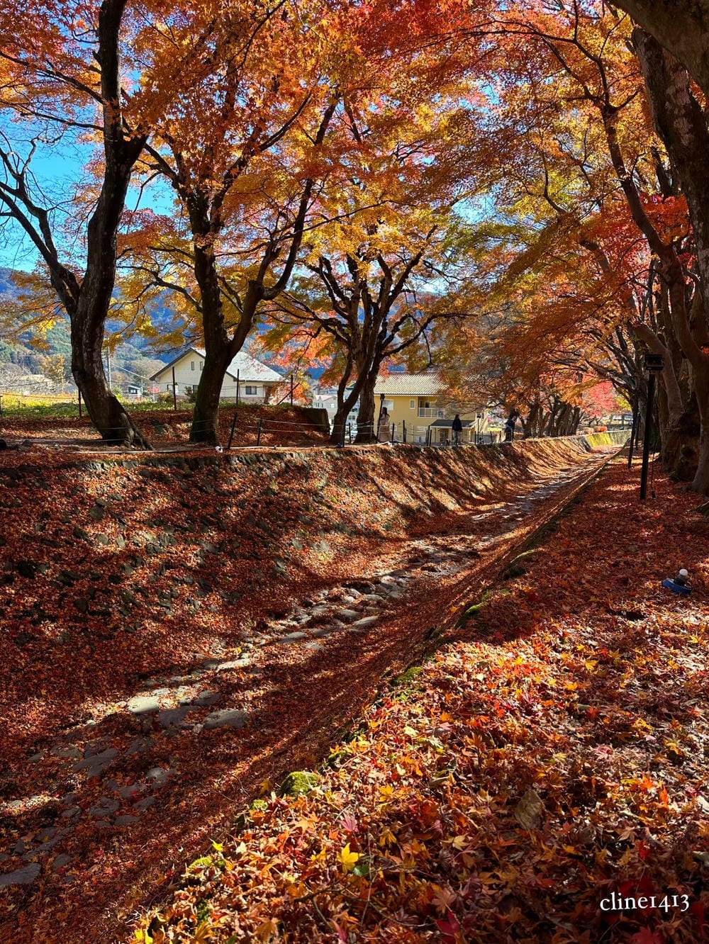 ▏河口湖景點▏富士山河口湖必訪景點及住宿分享