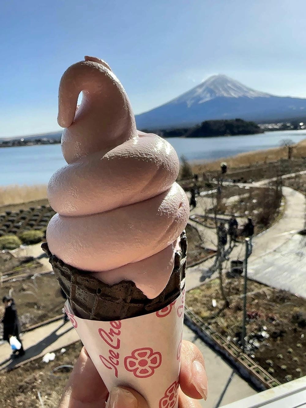 ▏河口湖景點▏富士山河口湖必訪景點及住宿分享