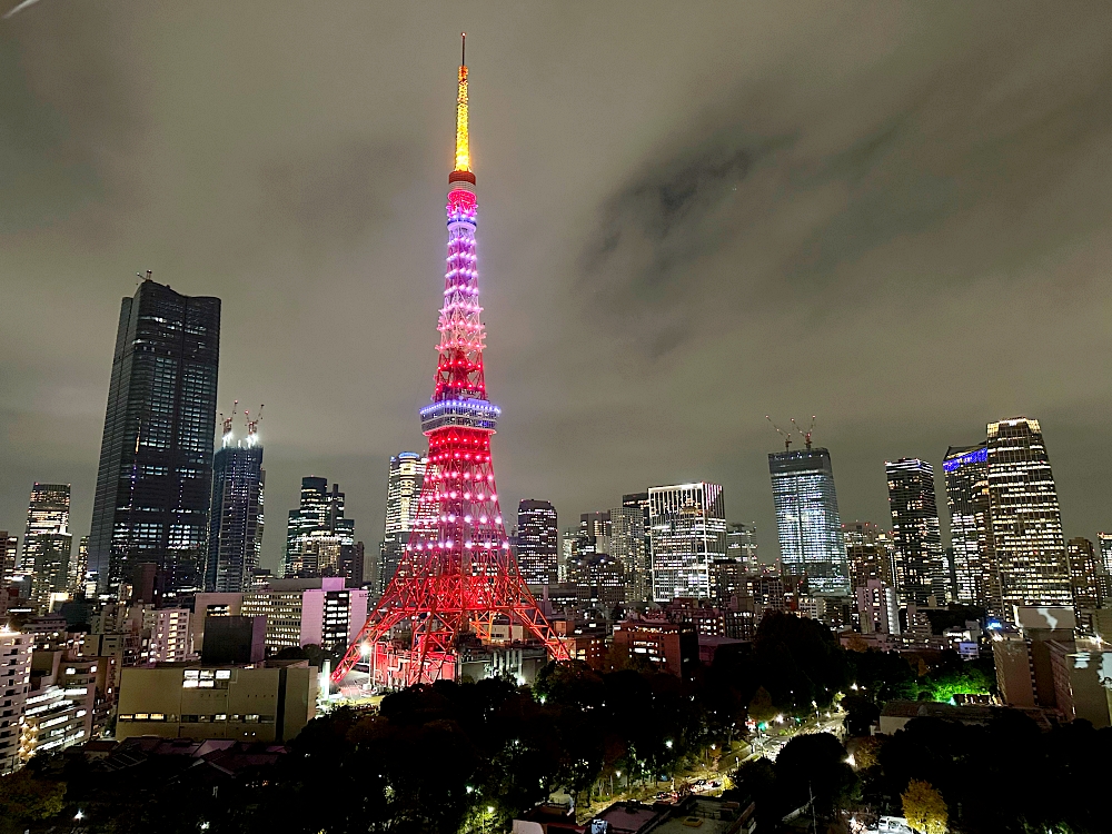 ▌2023東京住宿推薦▌東京皇家王子大飯店花園塔。房間就可以看到一整個東京鐵塔