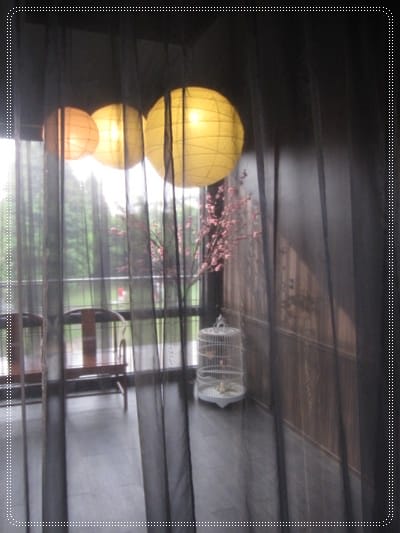 ▌桃園美食▌倘佯在綠風裡 ~ 中壢 [綠風草原]餐廳