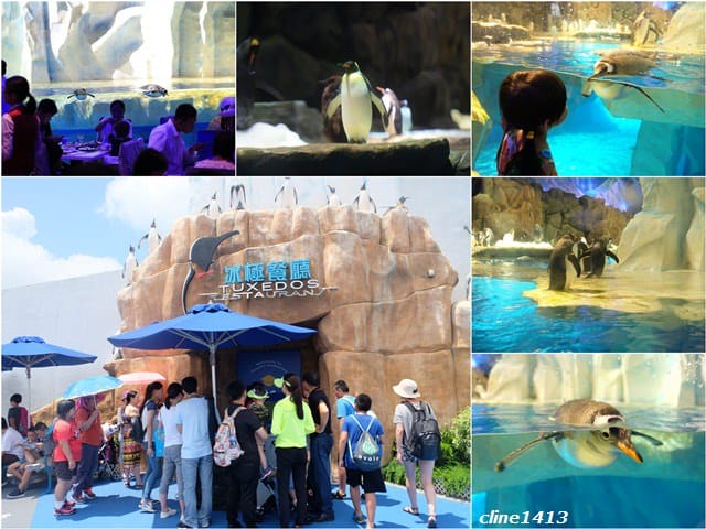 ▌2016香港親子行▌♥香港海洋公園Ocean Park Hong Kong ♥三天兩夜精彩行程分享(海洋公園夏水禮、海綿寶寶夏水派對)