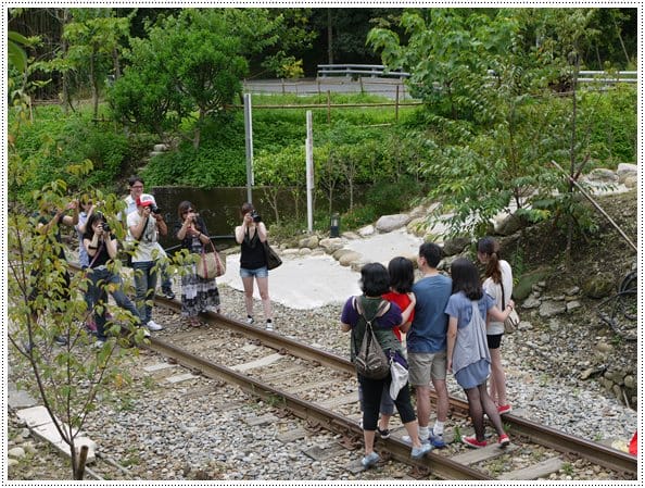 【苗栗民宿】用夢想打造的民宿~苗栗三義鐵道旁喆娟夢田民宿餐廳