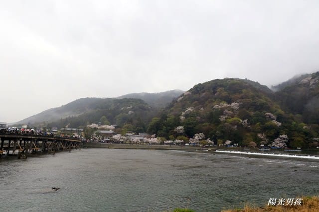 _MG_8271.JPG _MG_8271.JPG