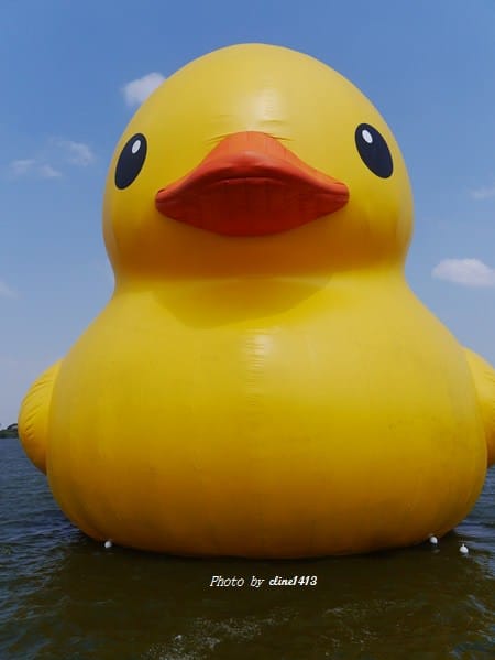 35.JPG