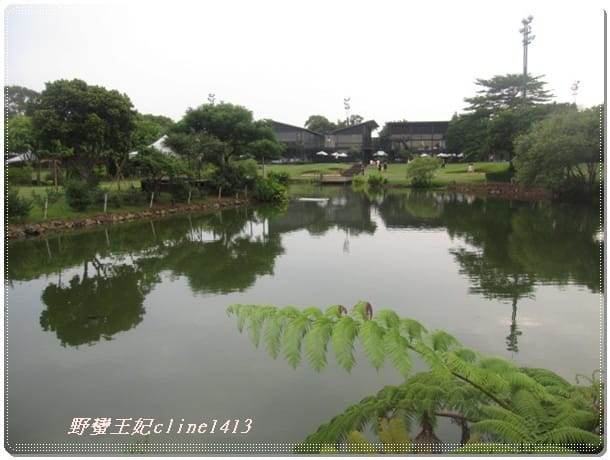 ▌桃園美食▌倘佯在綠風裡 ~ 中壢 [綠風草原]餐廳