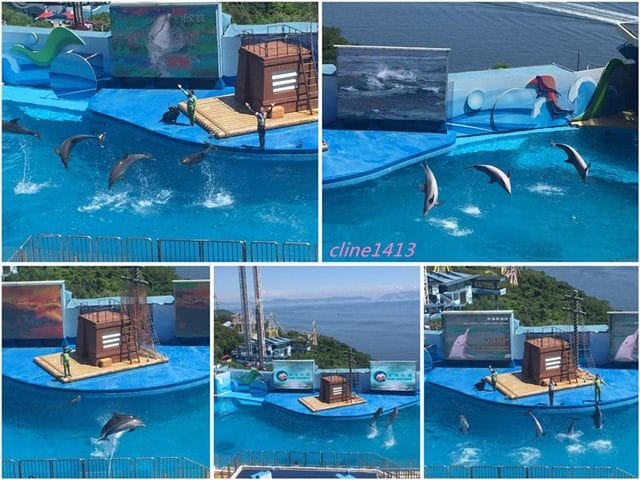 ▌2016香港親子行▌♥香港海洋公園Ocean Park Hong Kong ♥三天兩夜精彩行程分享(海洋公園夏水禮、海綿寶寶夏水派對)