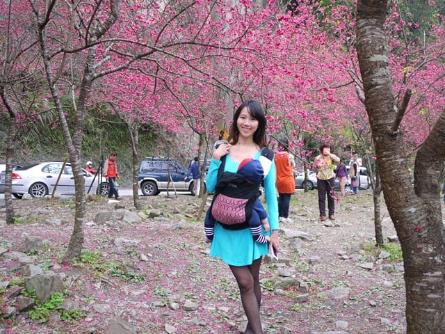【宜蘭景點】安貴妃拜年♥ 宜蘭三星米香銀柳節♥大同鄉秘境牛鬥賞櫻 ♥