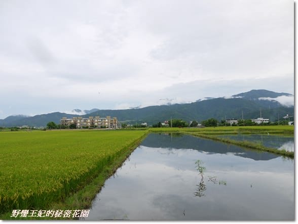 【推薦】令人難忘的田園美景~宜蘭【春不老驛站】民宿˙景觀篇