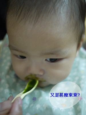 【6M】小王子的第一口副食品♥Cuisinart CSB-77TW手持式攪拌棒♥作副食品一定要有的小幫手!