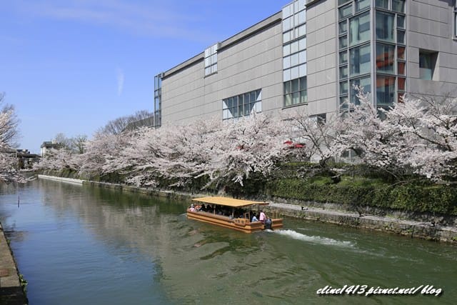 _MG_8703.JPG