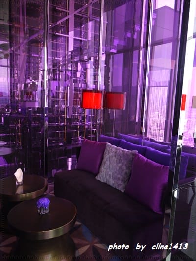 ★紫醉金迷˙W   HOTEL 【紫艷酒吧】奢華貴婦趴