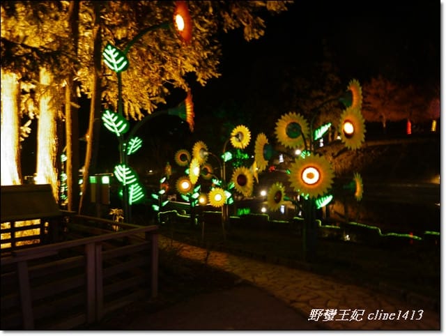 ▌南投清境▌夜晚比白天更美麗的[清境小瑞士]˙夜間水舞