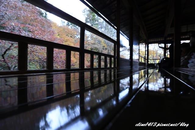 ▌京都賞楓▌京都賞楓名所♥瑠璃光院♥絕美夢幻的紅葉美景by陽光男孩