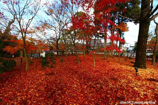 ▌京都賞楓▌必訪名所♥永觀堂♥日楓、夜楓都很迷人