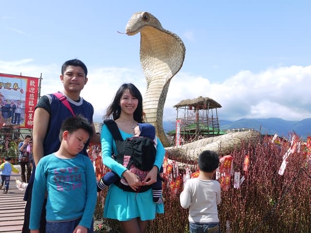 【宜蘭景點】安貴妃拜年♥ 宜蘭三星米香銀柳節♥大同鄉秘境牛鬥賞櫻 ♥