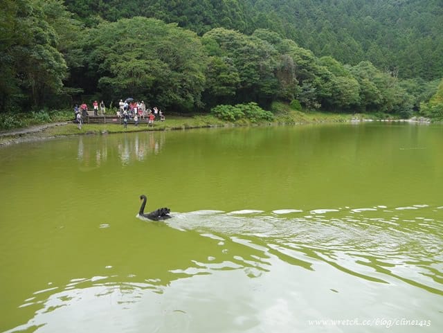 ▌宜蘭景點▌美如仙境的避暑盛地♥ 明池森林遊樂園區♥