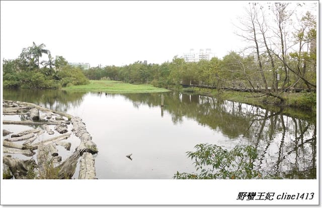▌羅東景點▌清幽如畫~羅東林業文化園區