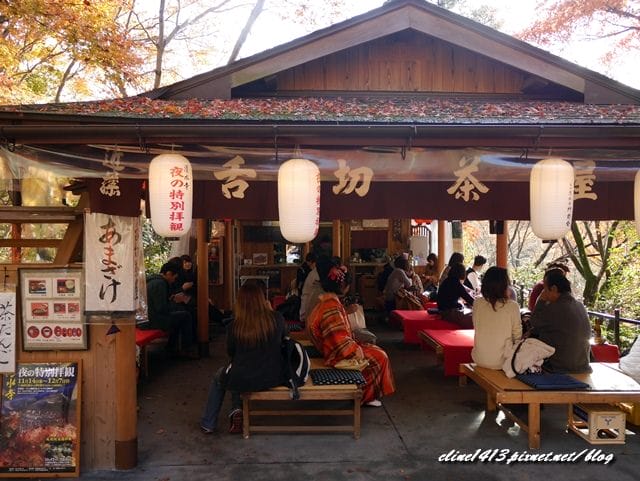 ▌清水寺 ▌京都賞楓必訪景點♥清水寺♥絕美夜楓!京阪賞楓自由行行程分享By陽光男孩
