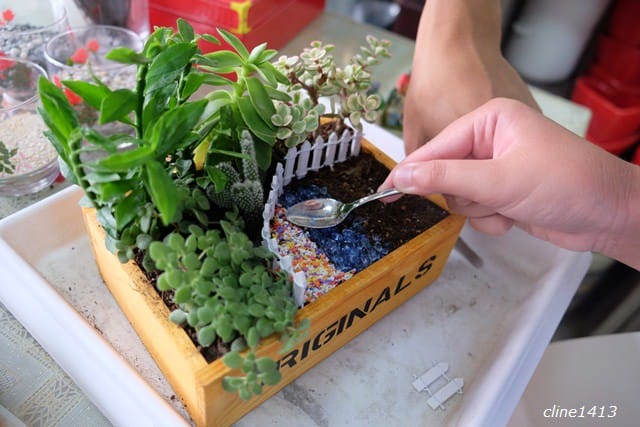 ▌宜蘭新景點▌療癒又有趣的♥多肉王國♥親手DIY盆栽好好玩! 親子DIY/親子景點/雨天備案好去處