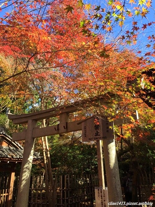 ▌京都賞楓▌♥蓮華寺♥小景卻意外讓人驚豔的楓葉美景