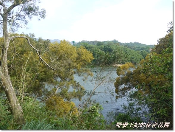 【苗栗景點】全台唯一湖中島~日新島水榭樓台島上咖啡