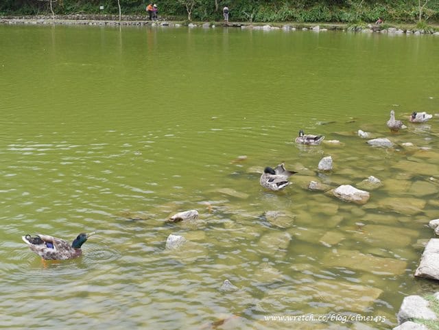 ▌宜蘭景點▌美如仙境的避暑盛地♥ 明池森林遊樂園區♥
