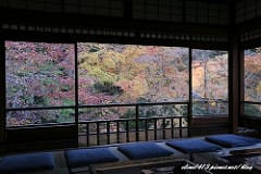 ▌京都賞楓▌♥蓮華寺♥小景卻意外讓人驚豔的楓葉美景