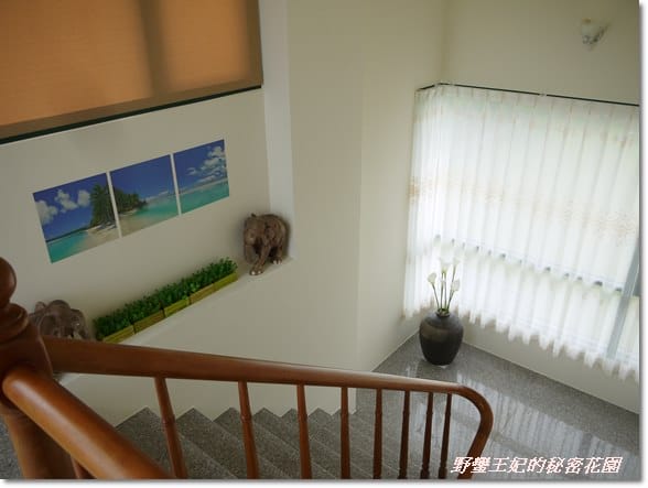 宜蘭【春不老驛站】民宿˙坐擁美景的包棟新體驗