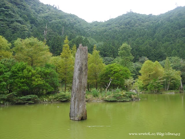 ▌宜蘭景點▌美如仙境的避暑盛地♥ 明池森林遊樂園區♥